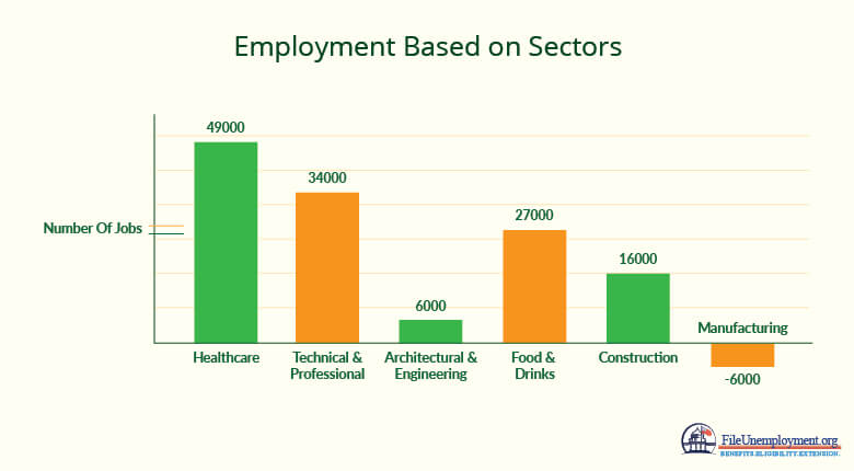 Employment based on sectors