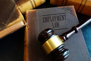 Employment Lawyer